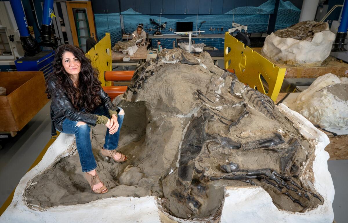 This image provided by North Carolina State University shows Associate Research Professor Lindsay Zanno posing with one of her dinosaur finds at the North Carolina Museum of Natural Sciences in downtown Raleigh, N.C. March 25, 2024. (Marc Hall/North Carolina State University via AP)