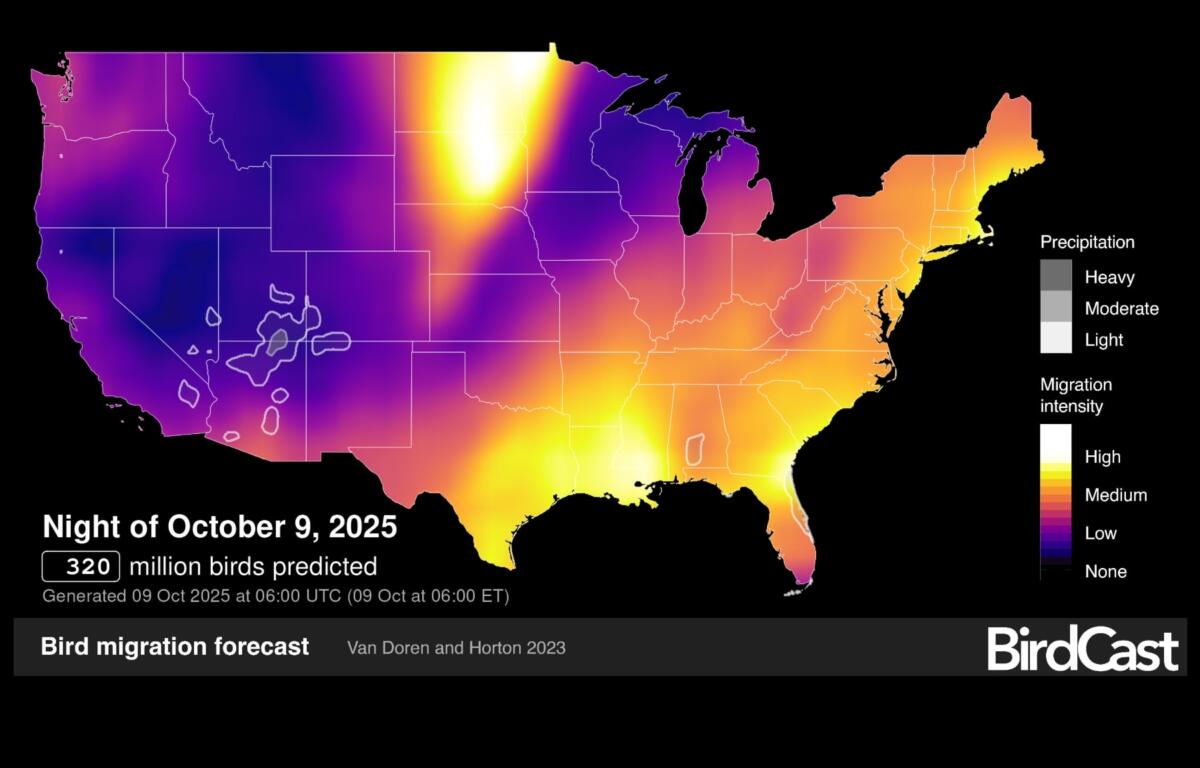 BirdCast migration forecast map