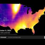 BirdCast migration forecast map