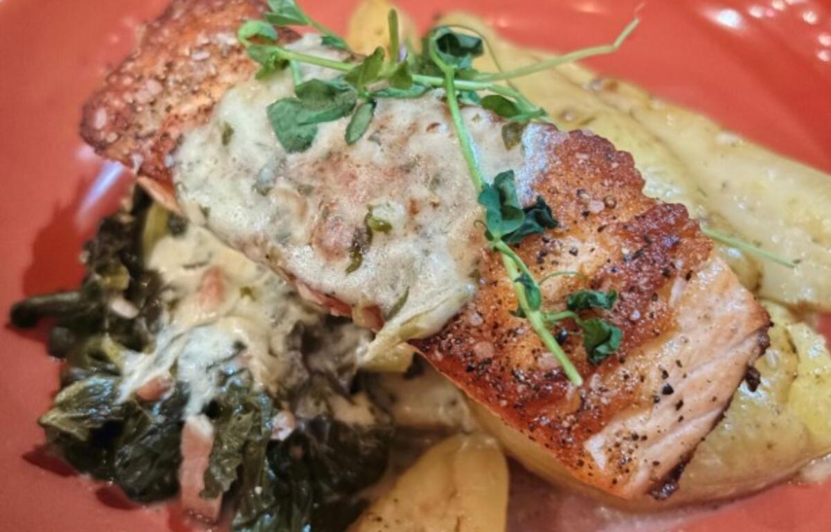 The Black Bird salmon
