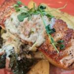 The Black Bird salmon