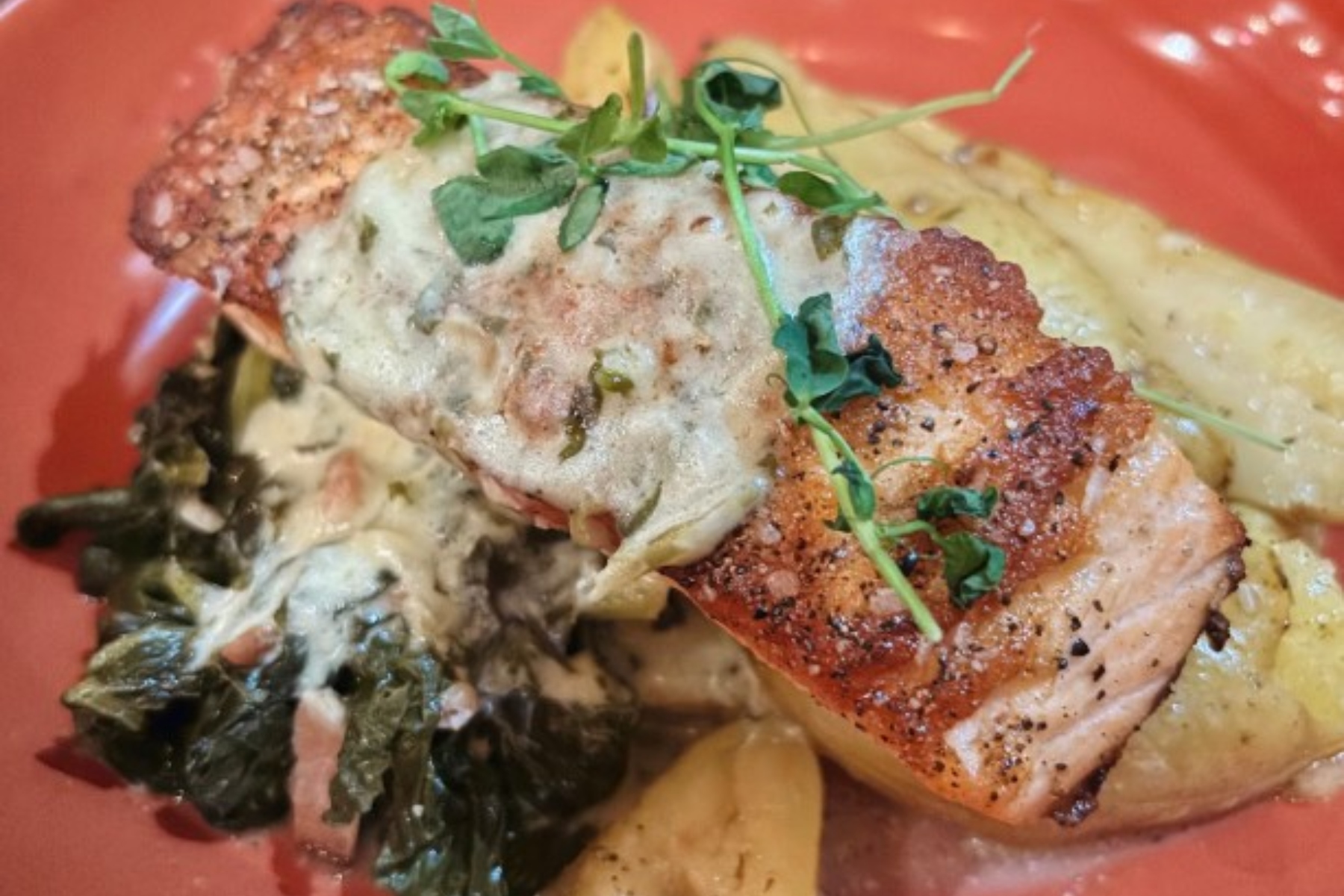 The Black Bird salmon