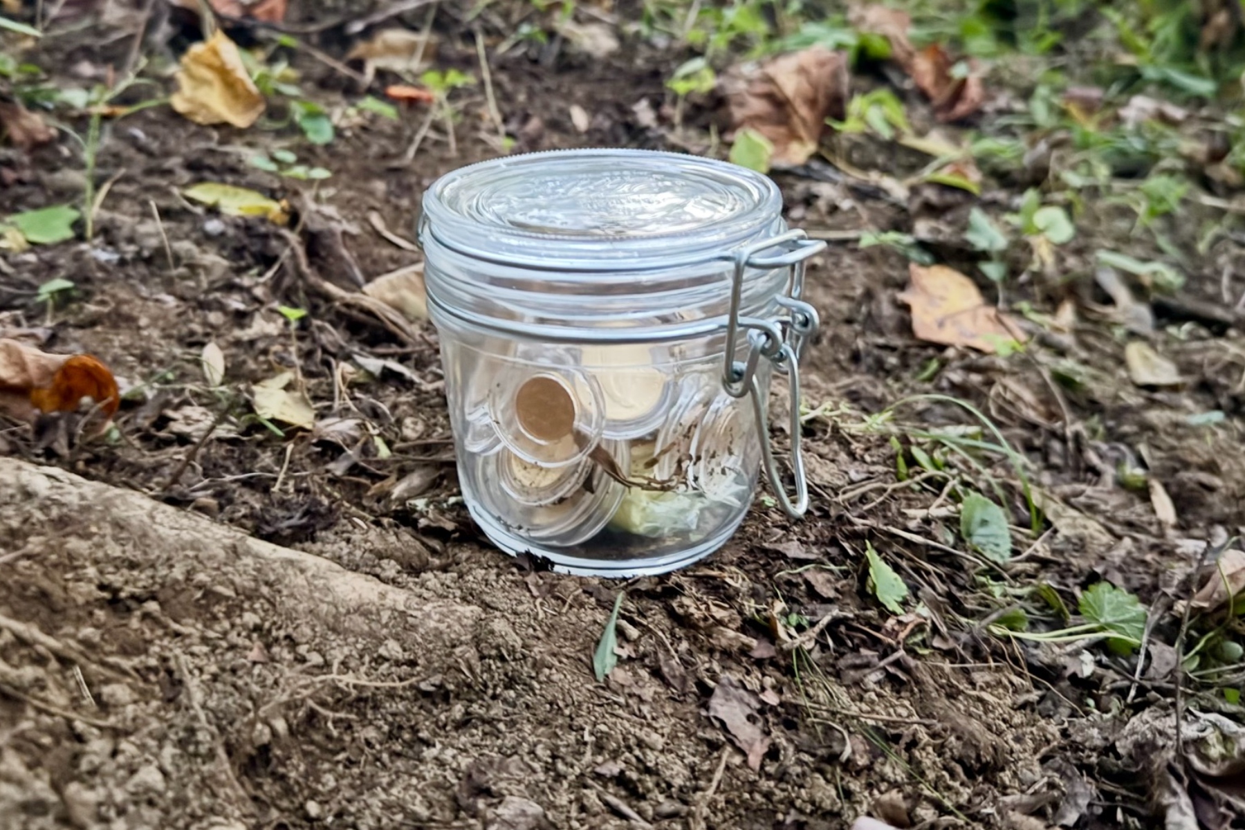 Adam Howell, a coin maker and founder of Countdown Treasure, says a glass jar containing $26,250 worth of American Gold Eagle coins is hidden somewhere in the Blue Ridge — and it’s “in plain sight.”