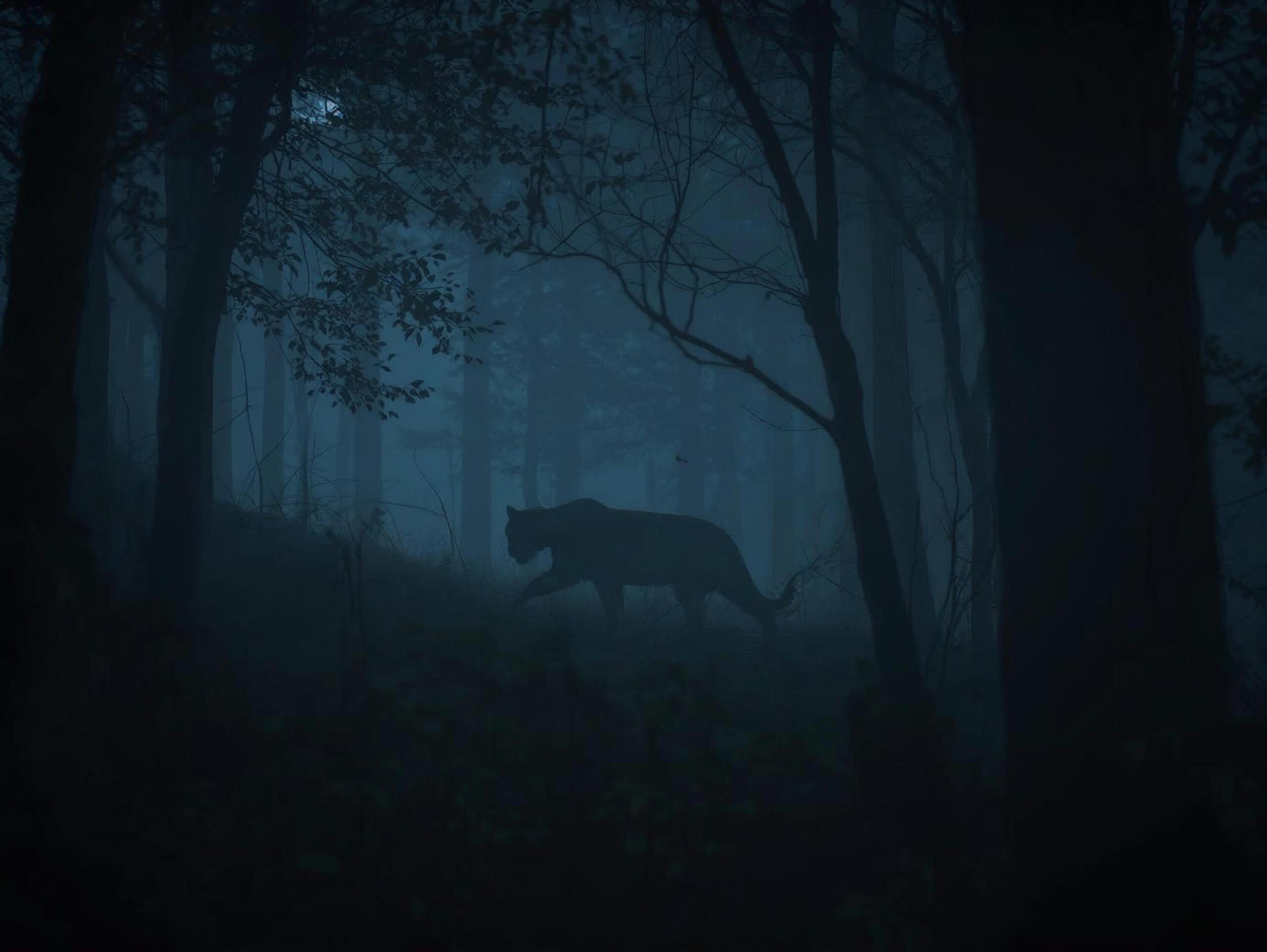 Strangeville: The Enduring Mystery of the Wampus Cat