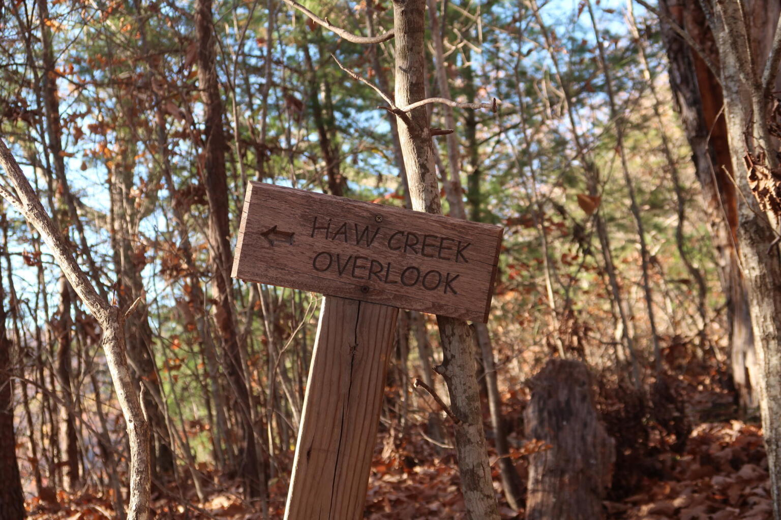 Hikes Of WNC Haw Creek Valley Overlook Asheville s 828 News NOW hikes-of-wnc-haw-creek-valley-overlook-asheville-s-828-news-now