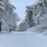 Different impacts of winter weather including a snow-covered Parkway and trees, the Parkway covered with thick ice, and the Parkway covered in Black ice.