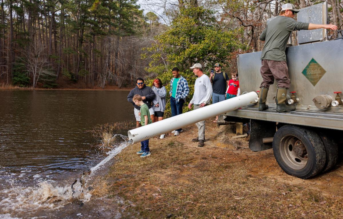 The N.C. Wildlife Resources Commission’s Public Mountain Trout Water Program stocks around 1 million trout annually. Trout fishing provides $1.38 billion in economic impact to North Carolina. 