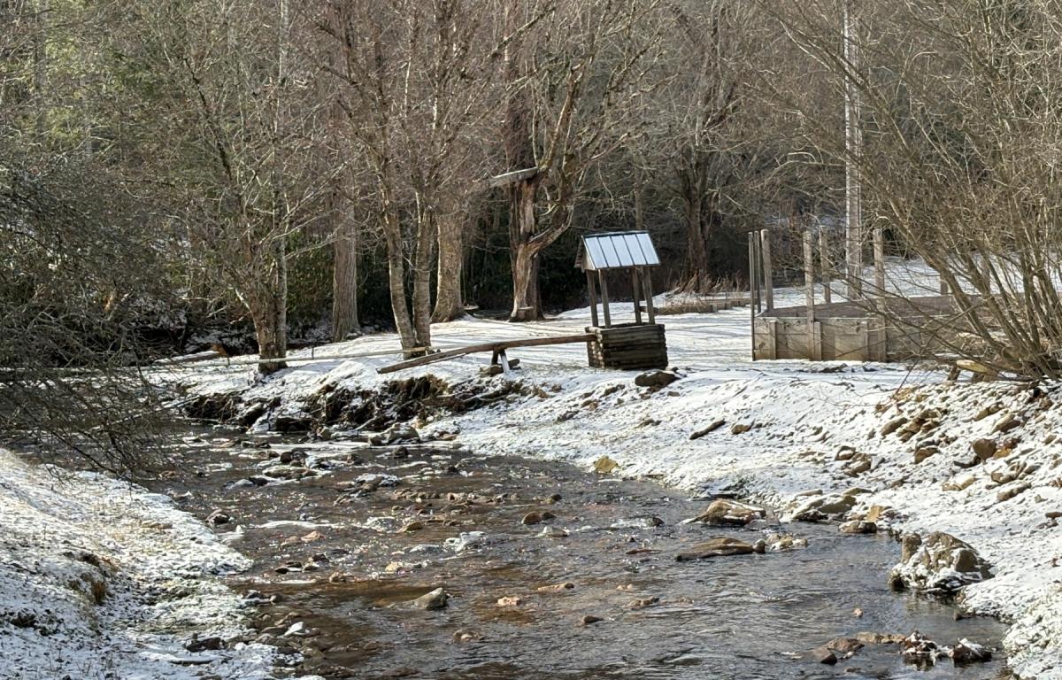 Snowy scene near Wolf Laurel/Hatley Point
