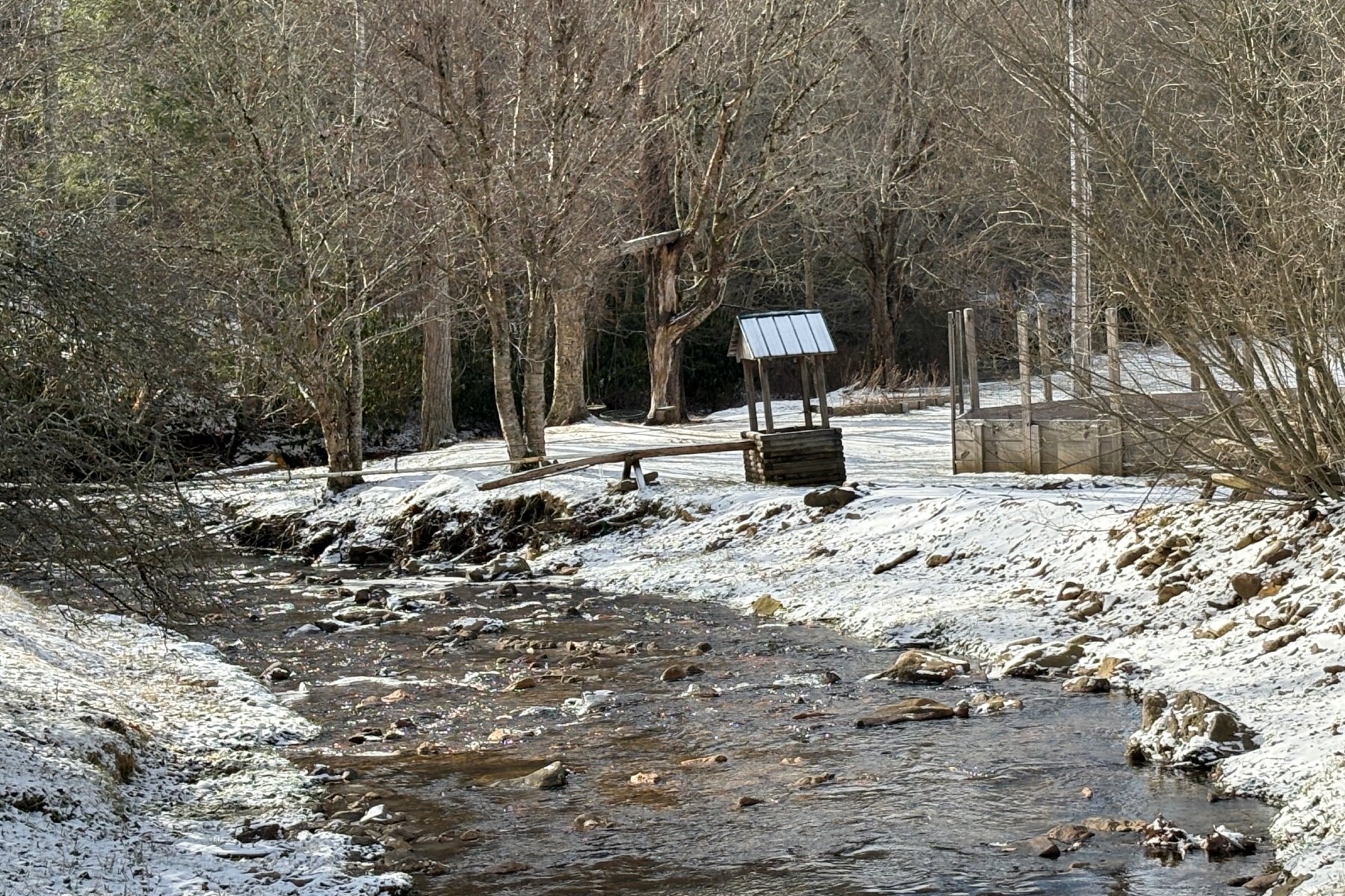 Snowy scene near Wolf Laurel/Hatley Point
