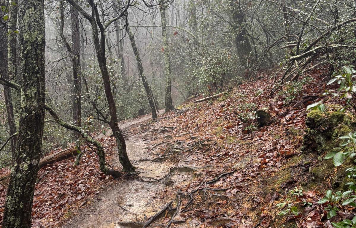 Hikes of WNC: Bakers Mountain Loop - Asheville's 828 News NOW