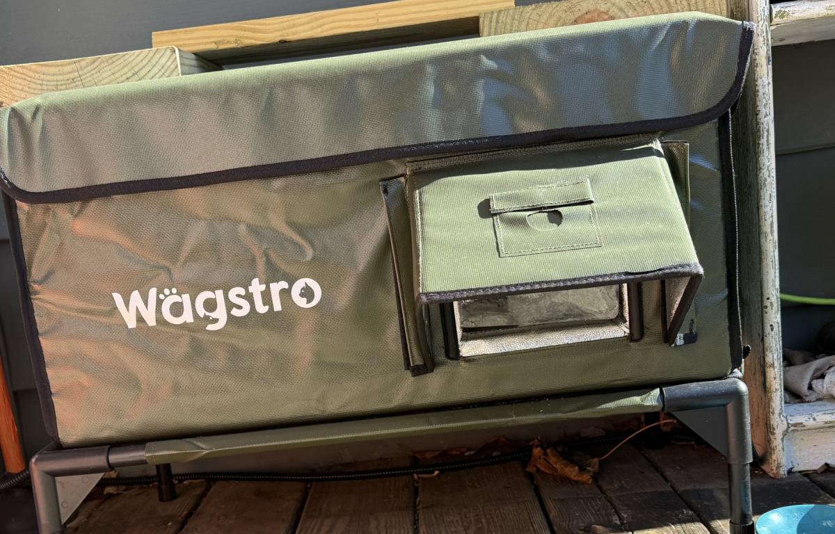 Outdoor pets need a warm place to shelter in the winter.