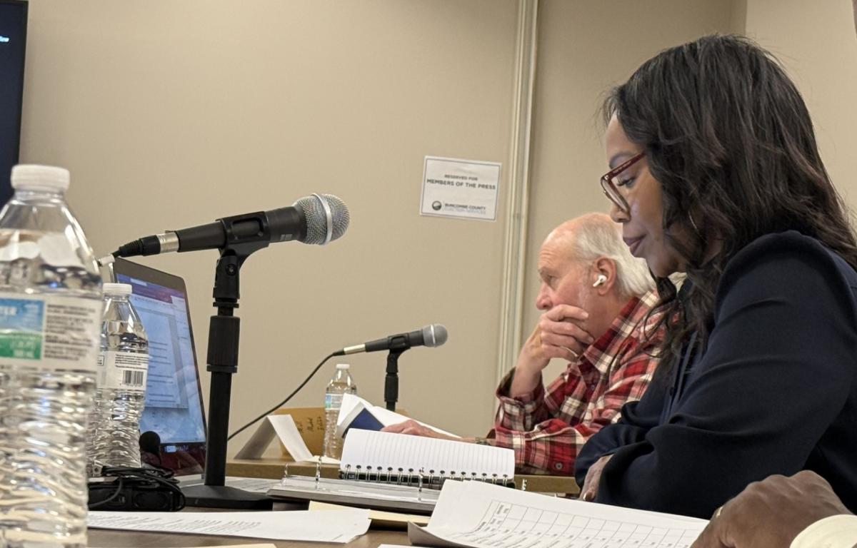 Asheville City Council candidate Antoinette Mosley