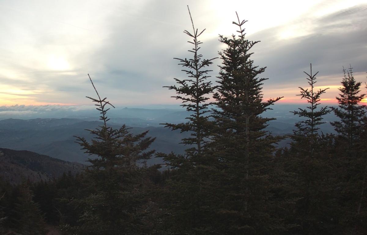 The view from Mount Mitchell looking northeast from the summit at 7:30 a.m. Wednesday, Jan. 28, 2026.