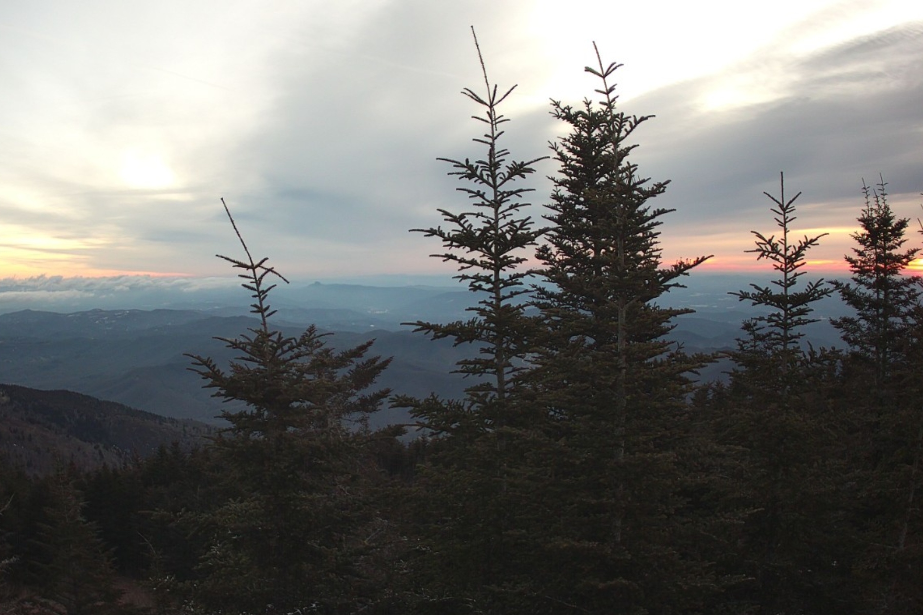 The view from Mount Mitchell looking northeast from the summit at 7:30 a.m. Wednesday, Jan. 28, 2026.