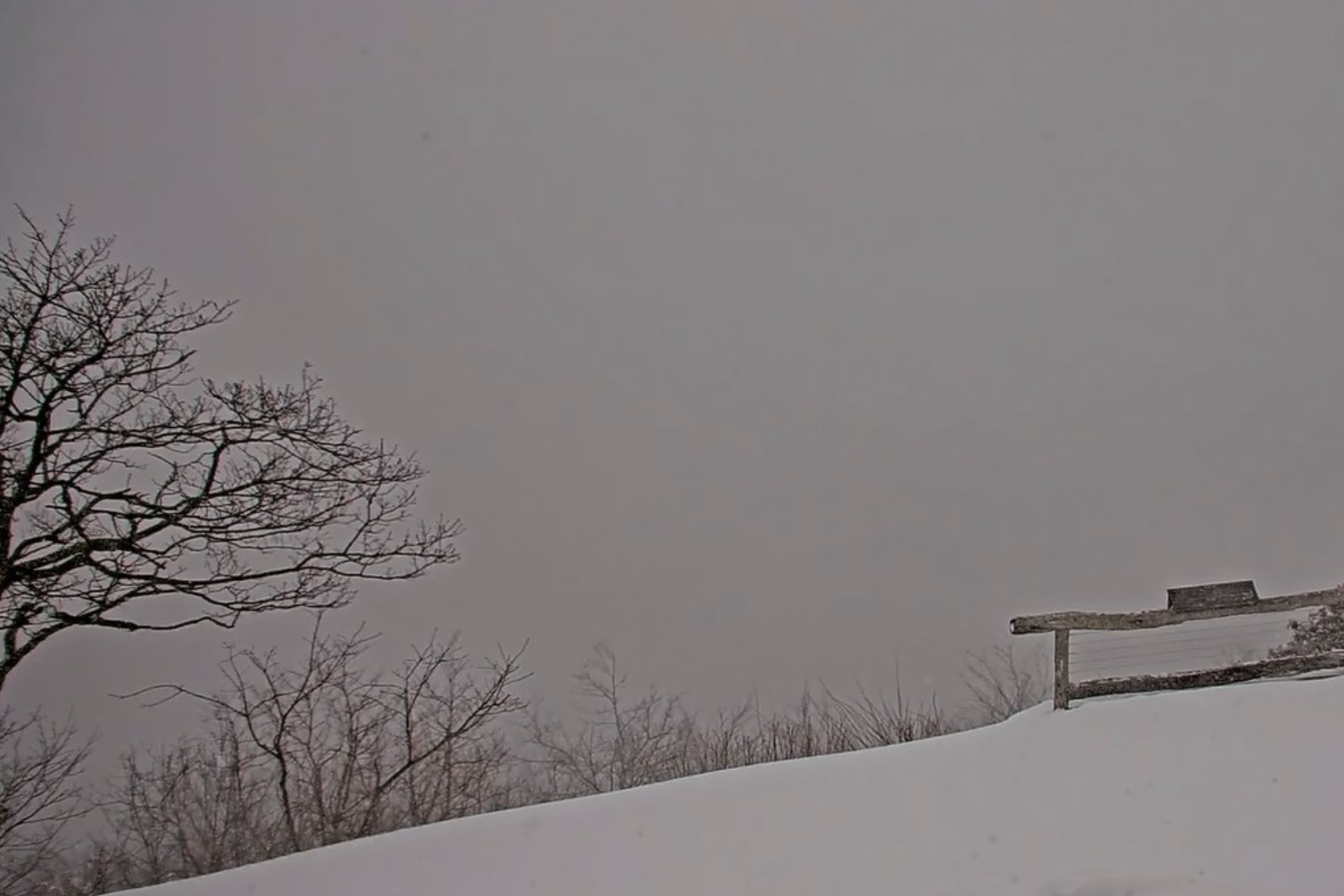 A view from the Pisgah Inn webcam Saturday afternoon.