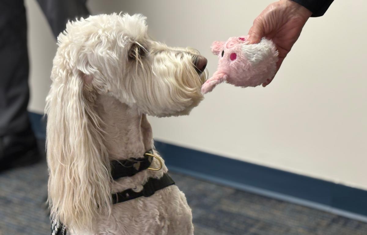 Officer Kora and her toy