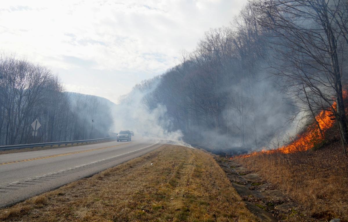 The Winding Stairs Alpha Fire burns to the edge of the Highway 64 containment line. USDA Forest Service courtesy photo by Dana Hodde.