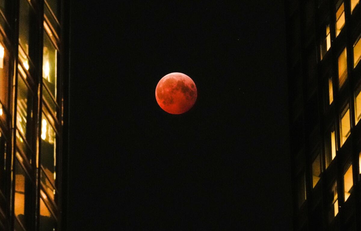 FILE - A total lunar eclipse, known as the blood moon, is visible between skyscrapers Friday, March 14, 2025, in downtown Chicago. (AP Photo/Kiichiro Sato)