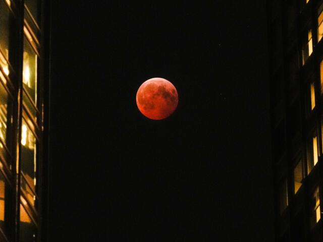 FILE - A total lunar eclipse, known as the blood moon, is visible between skyscrapers Friday, March 14, 2025, in downtown Chicago. (AP Photo/Kiichiro Sato)