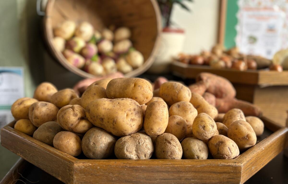 Appalachian Community Relief focuses on immediate food access and long-term stability for families struggling to make ends meet.