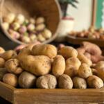 Appalachian Community Relief focuses on immediate food access and long-term stability for families struggling to make ends meet.