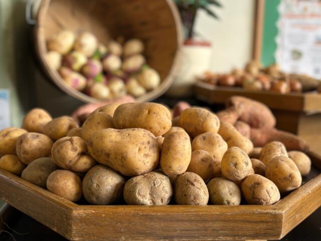 Appalachian Community Relief focuses on immediate food access and long-term stability for families struggling to make ends meet.