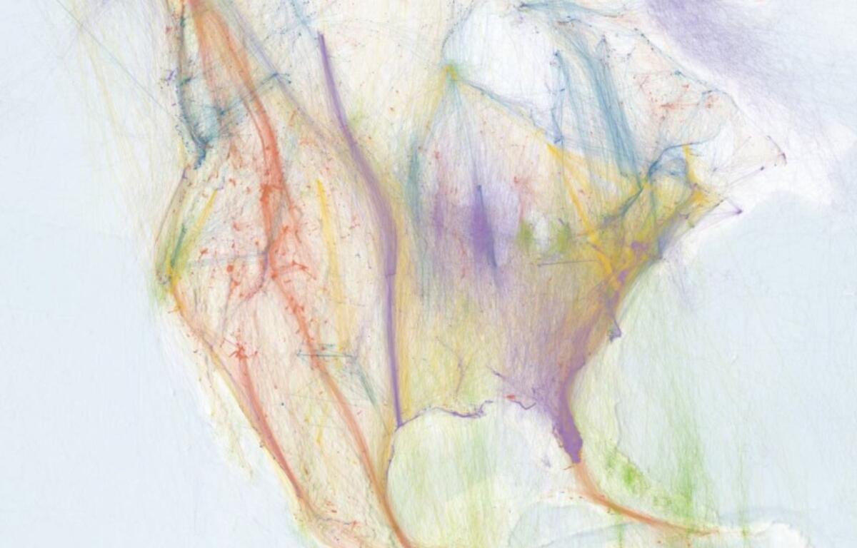 This map on explorer.audubon.org shows tracks for 12,160 individual birds from 195 species.