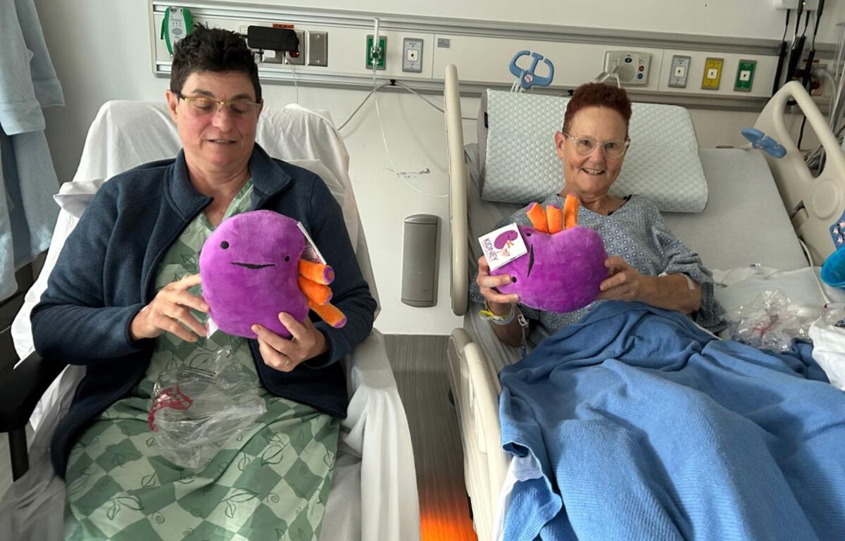 Mary and Deb Love with their stuffed kidneys after transplant surgery.