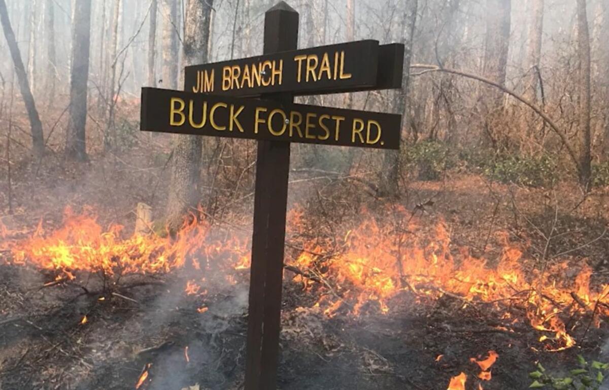 Mike Santucci, assistant forest supervisor at DuPont State Recreational Forest, said planning for a prescribed burn can take months and includes evaluating fuel loads, identifying hazards and developing a detailed burn plan.