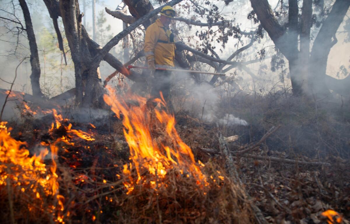 N.C. Wildlife Resources Commission conducts about 200 to 300 prescribed burns annually across 20,000 to 30,000 acres of the state’s roughly 2 million acres of game lands.