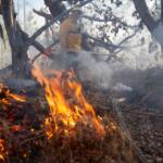 N.C. Wildlife Resources Commission conducts about 200 to 300 prescribed burns annually across 20,000 to 30,000 acres of the state’s roughly 2 million acres of game lands.