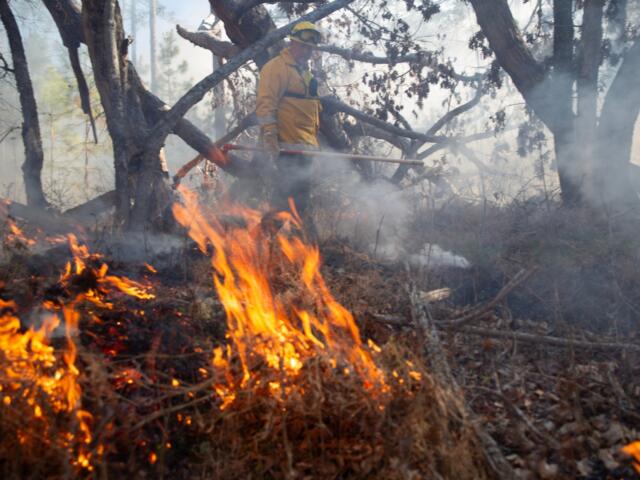 N.C. Wildlife Resources Commission conducts about 200 to 300 prescribed burns annually across 20,000 to 30,000 acres of the state’s roughly 2 million acres of game lands.