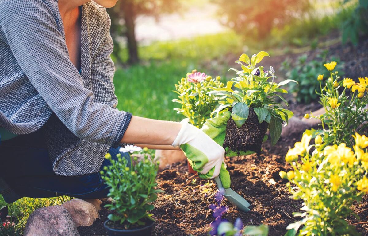 Gardener planting flowers and vegetables in a home garden, representing the Garden Anywhere small-space gardening guide for Asheville and WNC