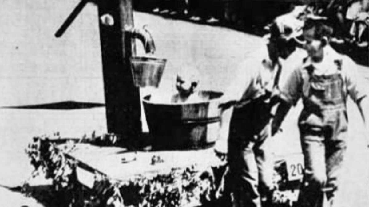 Strangeville: Asheville’s Rhododendron Baby Parade