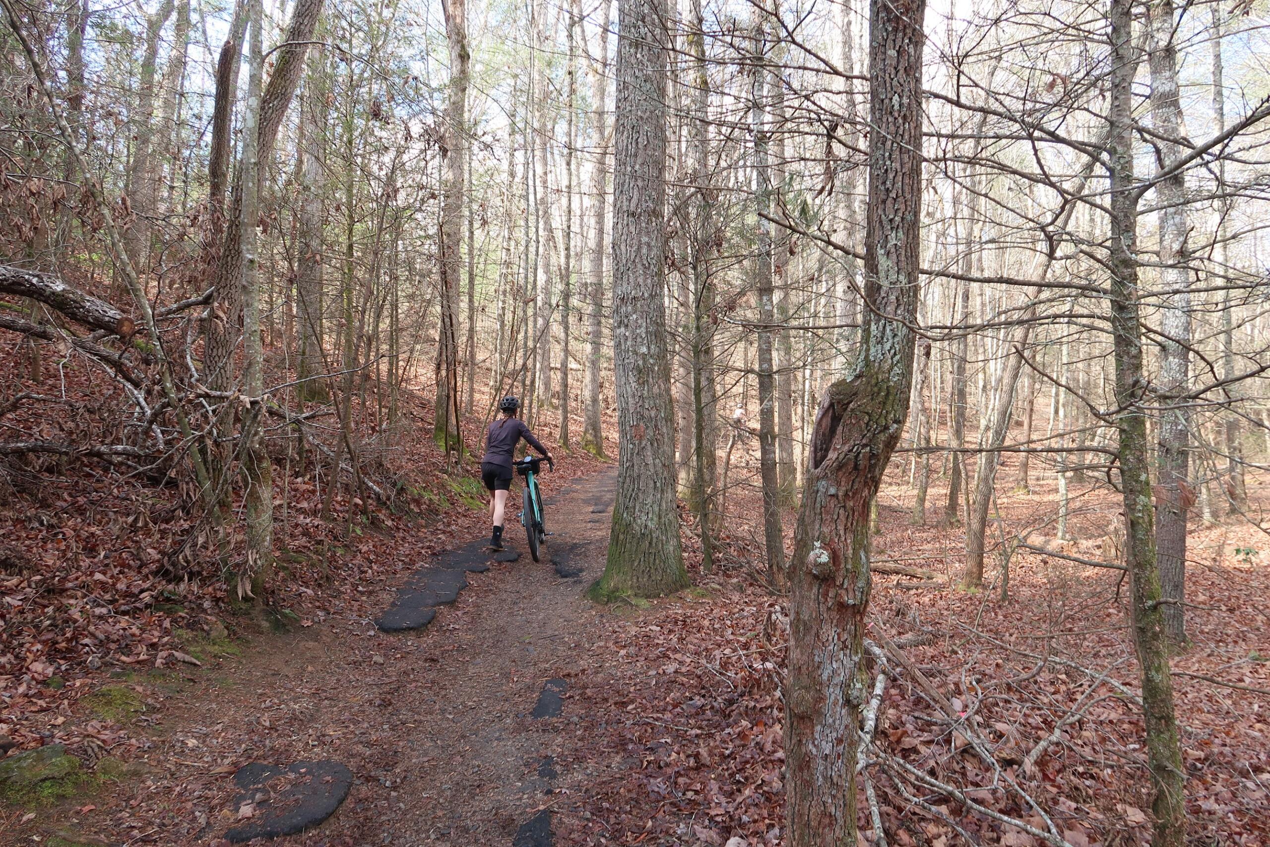 Person wearing a helmet rides a mountain bike along a narrow dirt trail through a leaf-covered forest with bare trees on both sides.