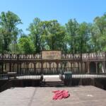 Outdoor wooden stage with a banner reading 'The Wonderful Wizard of Oz' against a backdrop of green trees and a clear blue sky.