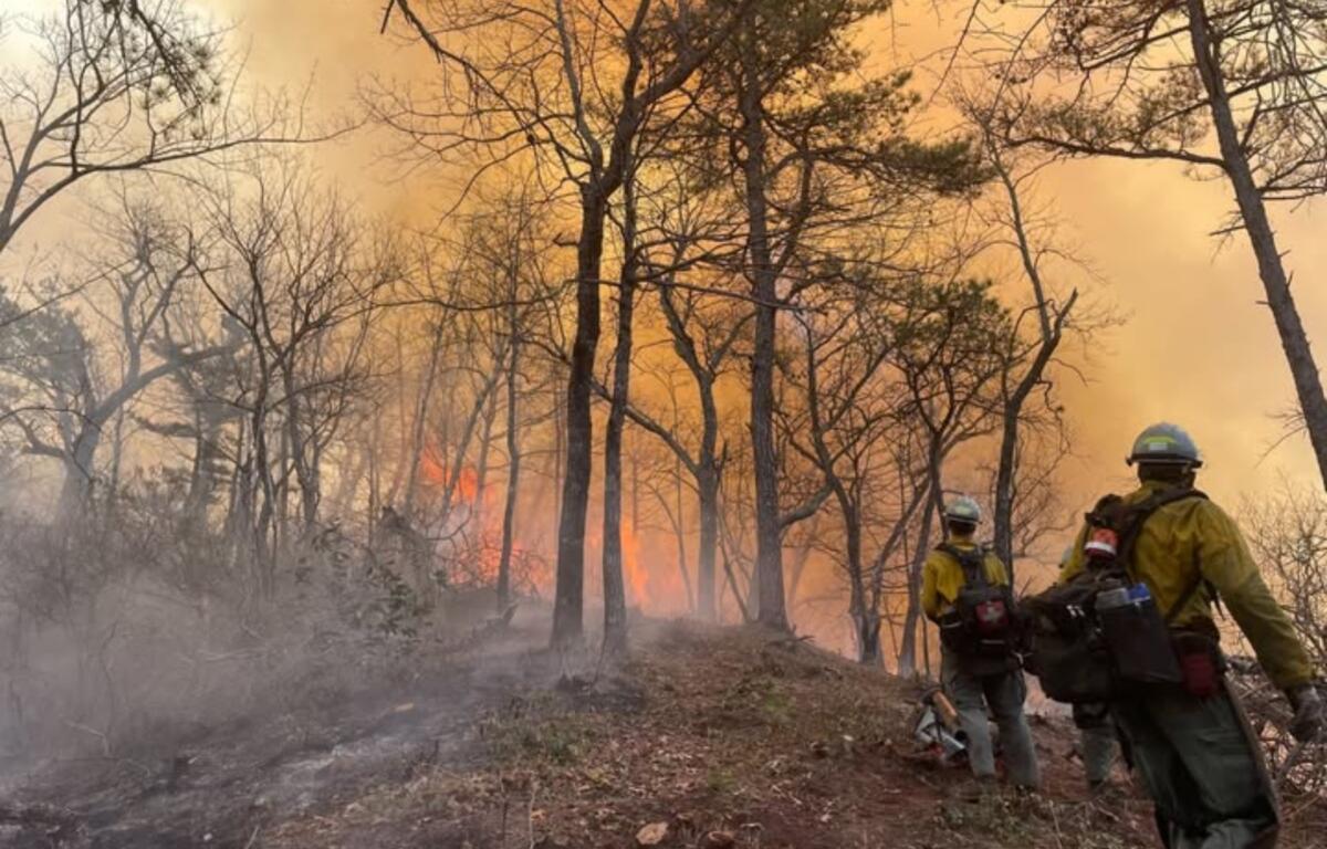 Firefighters and smoke on the Jumping Branch Fire. (Photo credit: U.S. Forest Service/Lisa Jennings)