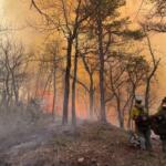 Firefighters and smoke on the Jumping Branch Fire. (Photo credit: U.S. Forest Service/Lisa Jennings)