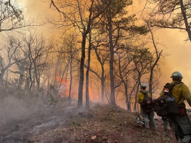 Firefighters and smoke on the Jumping Branch Fire. (Photo credit: U.S. Forest Service/Lisa Jennings)