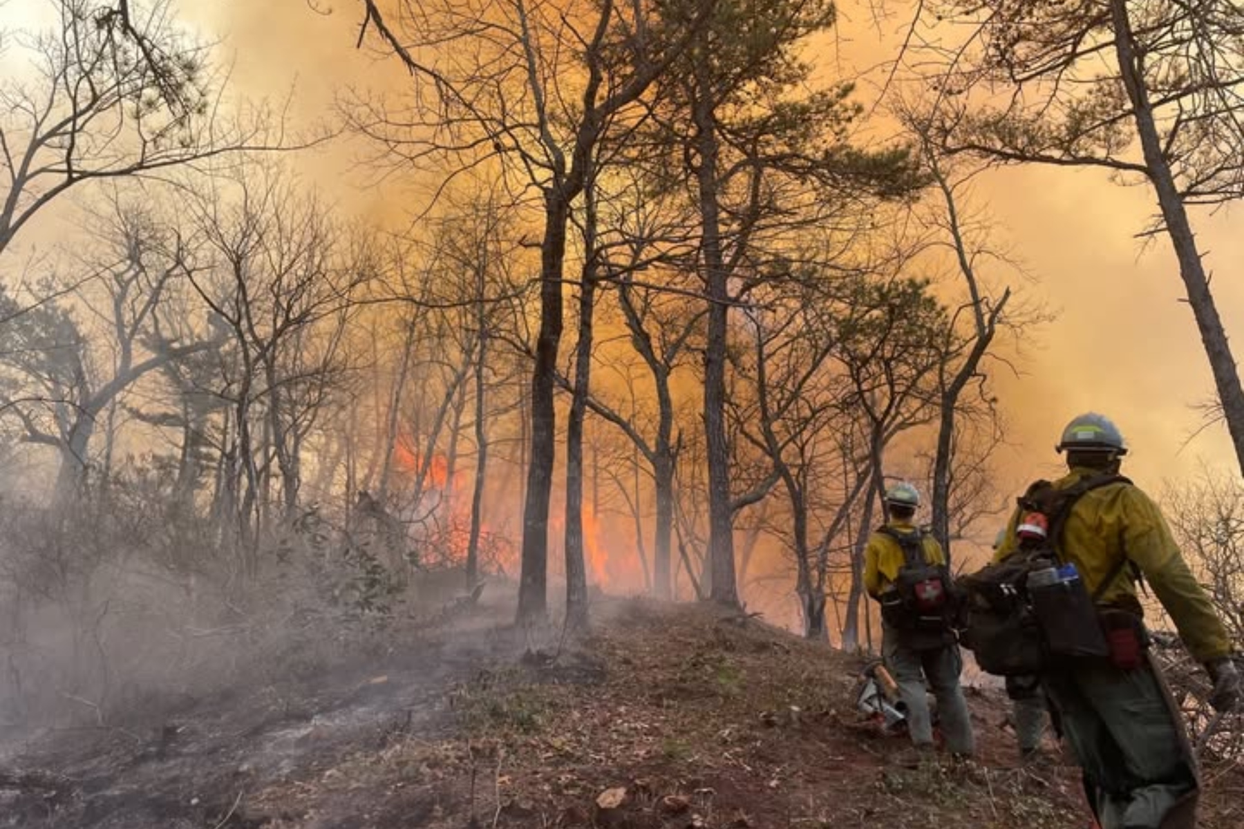 Firefighters and smoke on the Jumping Branch Fire. (Photo credit: U.S. Forest Service/Lisa Jennings)
