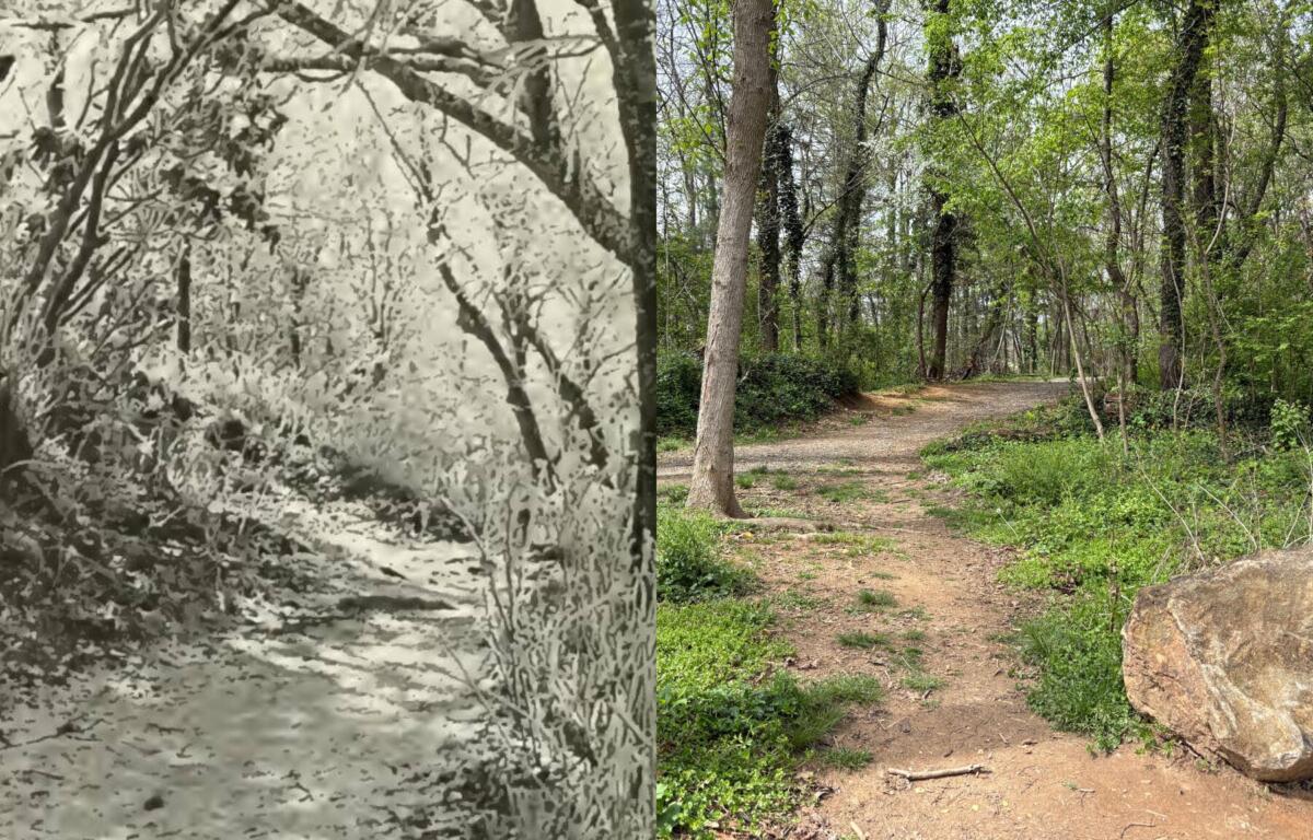 Split image: left grayscale forest scene with a small stream; right a dirt woodland path with trees and a large rock nearby.
