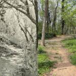 Split image: left grayscale forest scene with a small stream; right a dirt woodland path with trees and a large rock nearby.