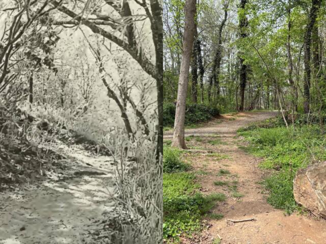 Split image: left grayscale forest scene with a small stream; right a dirt woodland path with trees and a large rock nearby.