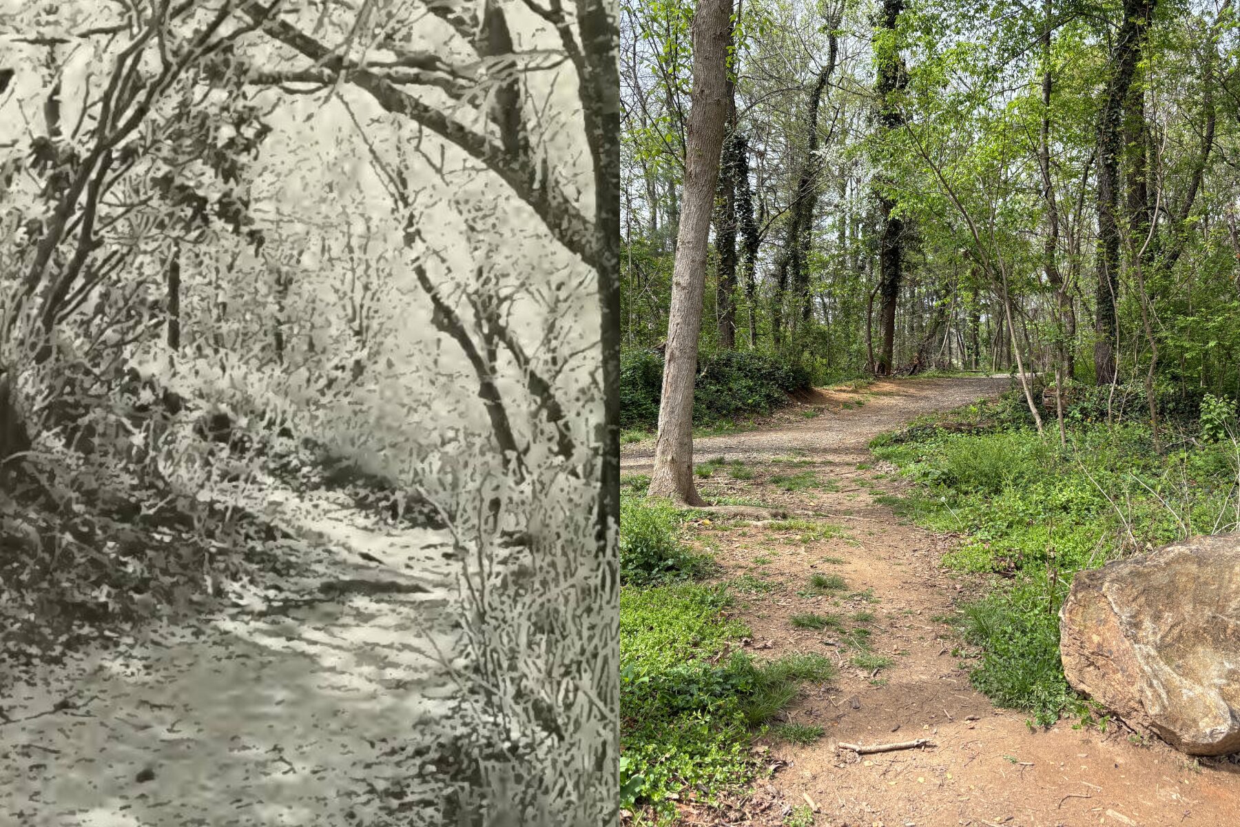 Split image: left grayscale forest scene with a small stream; right a dirt woodland path with trees and a large rock nearby.