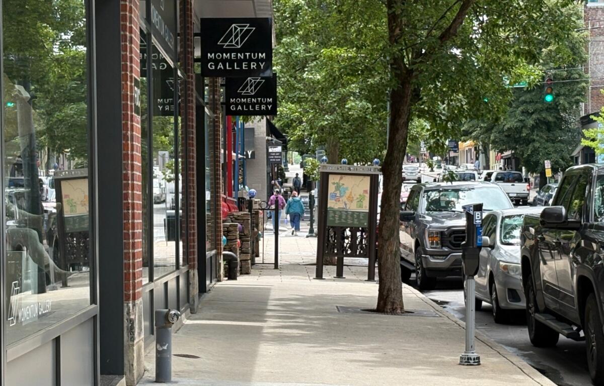 Urban sidewalk with Momentum Gallery signs, brick storefronts, and trees; pedestrians walk along the sunny street.