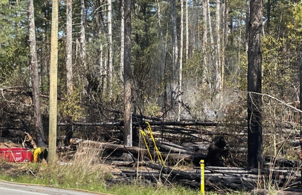 Charred fallen logs and smoldering brush in a forest, with yellow caution tape and a roadside marker in view.