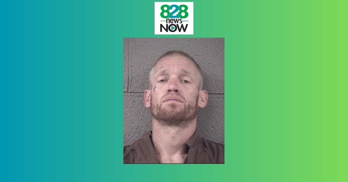 Mugshot of a man with short hair and beard against a gray cinder block wall, wearing a brown shirt; used in a news story.
