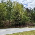 Tree-covered hillside beside a paved road, with a blue banner on a pole at right edge.