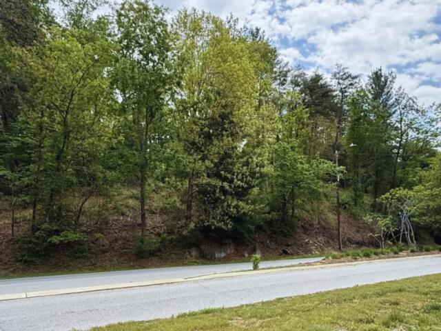 Tree-covered hillside beside a paved road, with a blue banner on a pole at right edge.