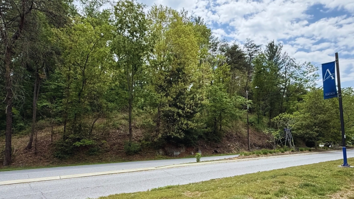 Tree-covered hillside beside a paved road, with a blue banner on a pole at right edge.